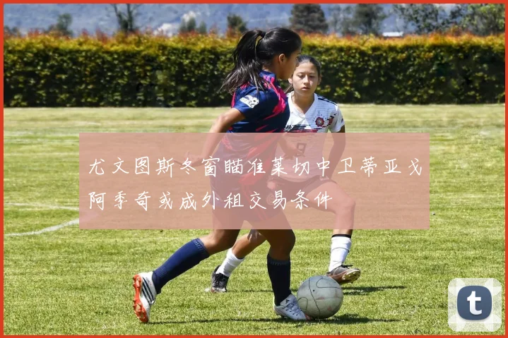 尤文图斯冬窗瞄准莱切中卫蒂亚戈阿季奇或成外租交易条件