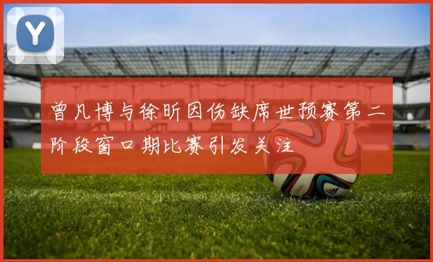 曾凡博与徐昕因伤缺席世预赛第二阶段窗口期比赛引发关注