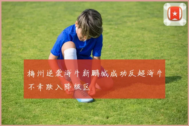梅州逆袭海牛新鹏城成功反超海牛不幸跌入降级区